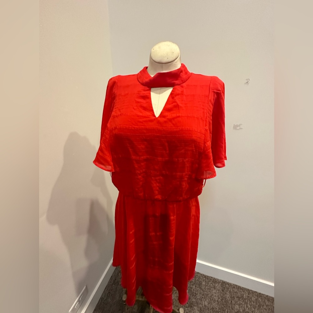 Flutter Sleeve Dress